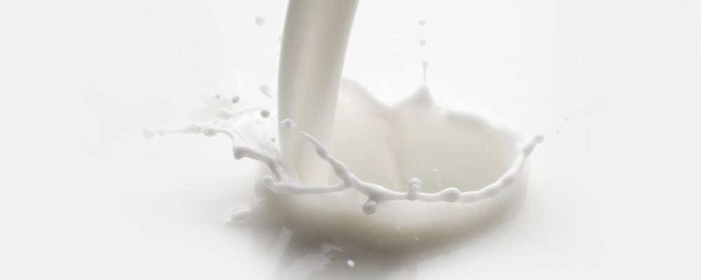 WHY THE MILK MATTERS