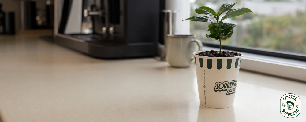 Sunstainable workplace coffee solutions